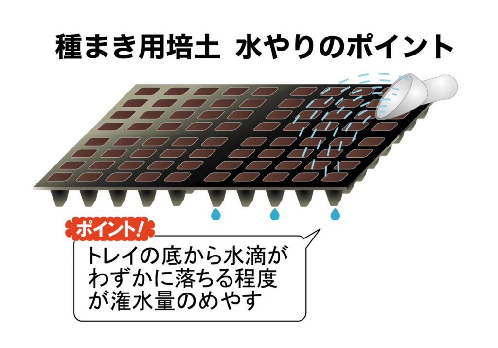 園芸培土の上手な使い方 プラグ 播種培土編 株式会社ホーネンアグリ