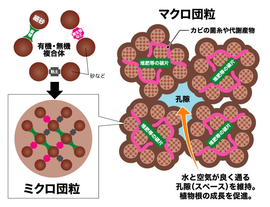 団粒構造形成の模式図（培養土とは何か）