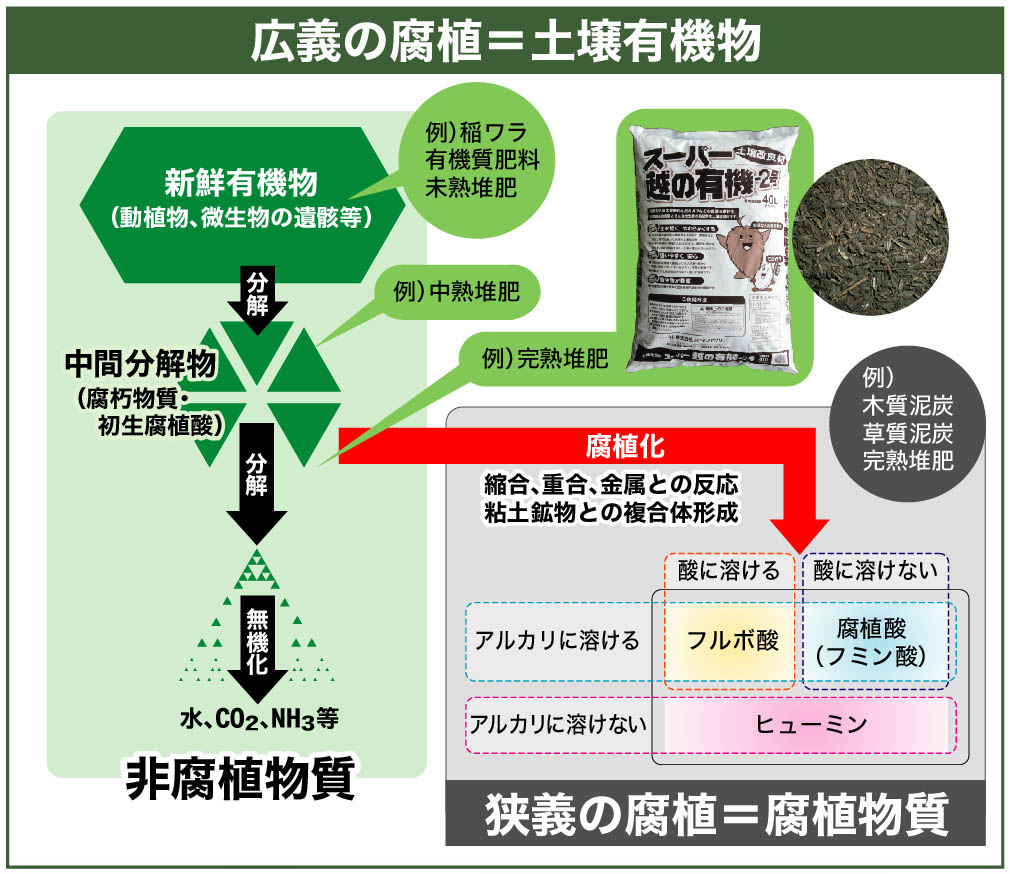 腐植の定義と分類