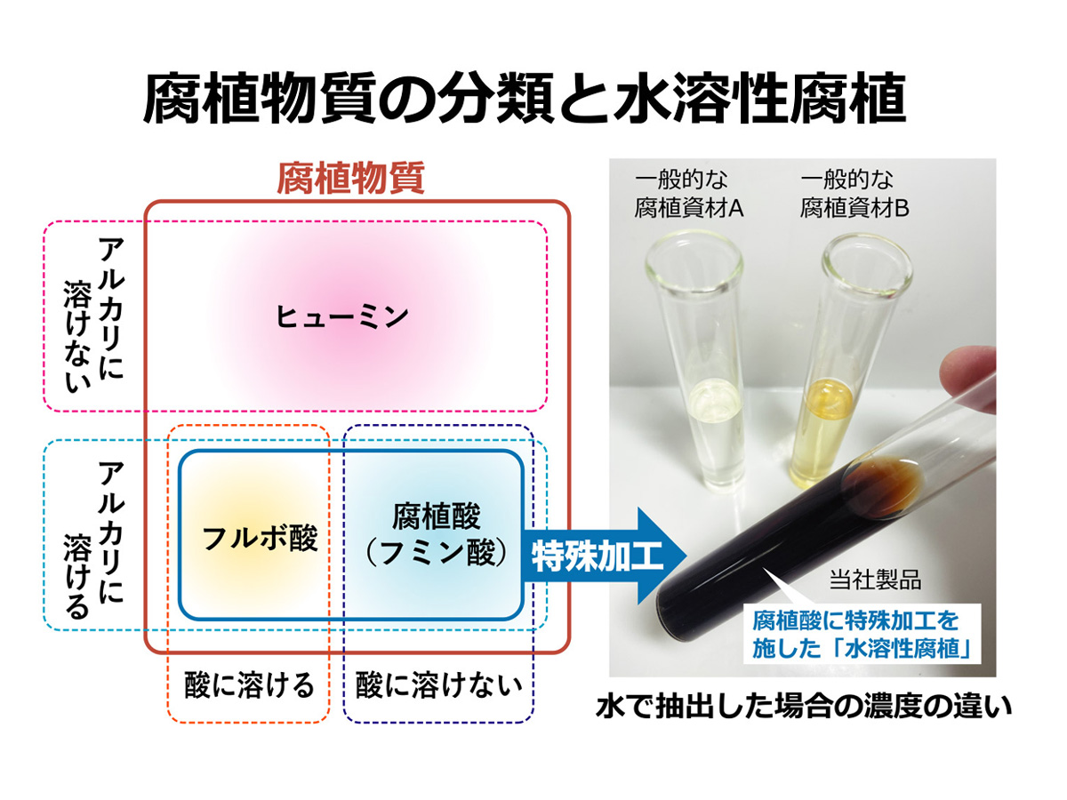 水溶性腐植の可能性！～植物に対するメリット～ | 株式会社